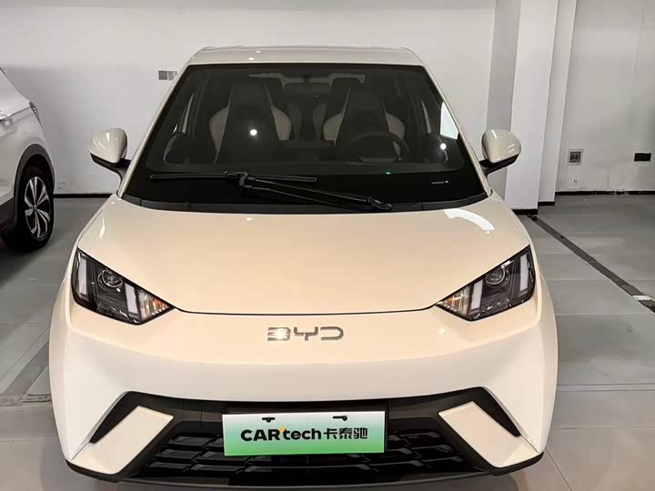 Фото 3 - BYD Seagull