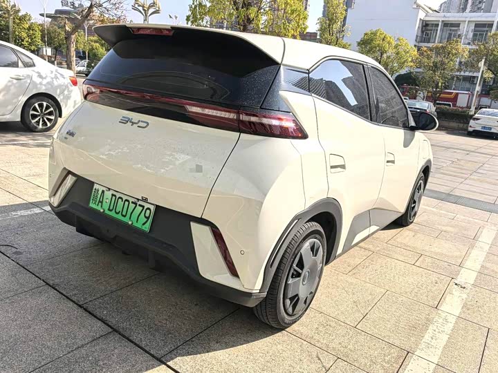 Фото 4 - BYD Seagull