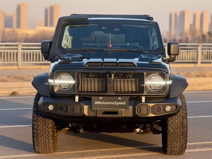 Фото 2 - Tank 300