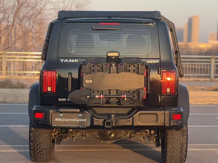 Фото 5 - Tank 300