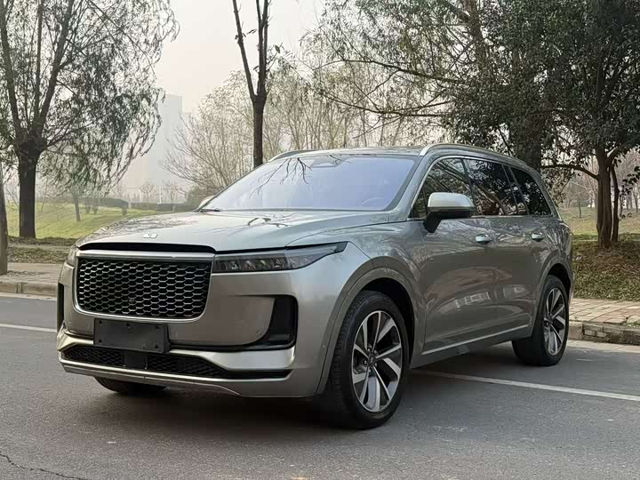 Фото 1 - LiXiang One