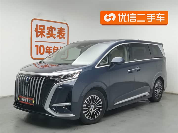 Фото 1 - Denza D9