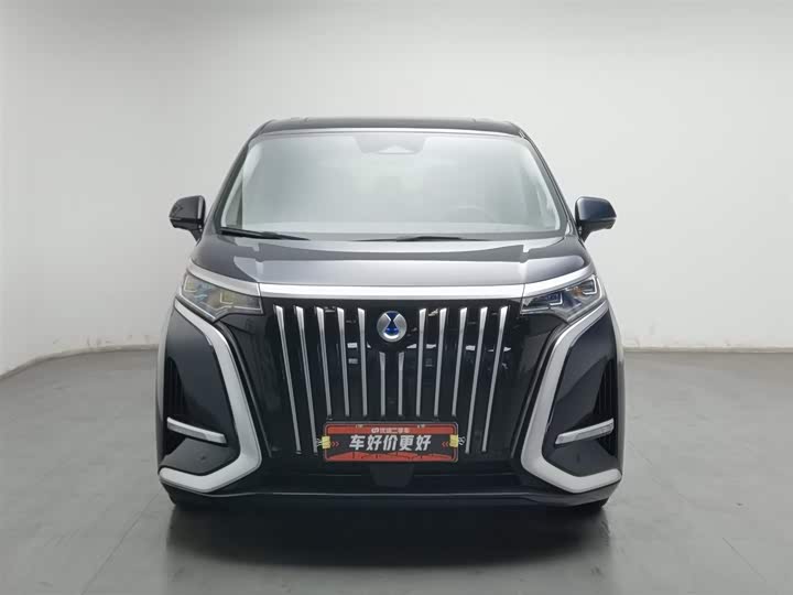 Фото 3 - Denza D9