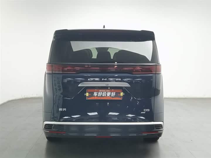 Фото 4 - Denza D9