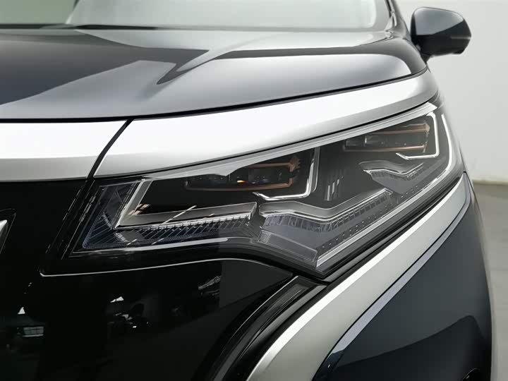 Фото 7 - Denza D9