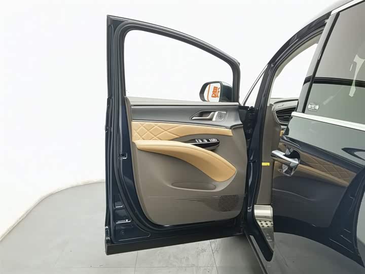 Фото 8 - Denza D9