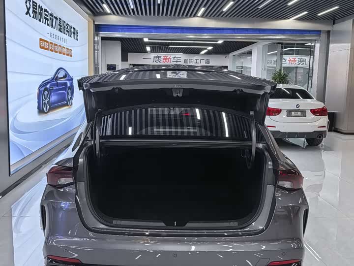 Фото 7 - GAC Trumpchi Empow R