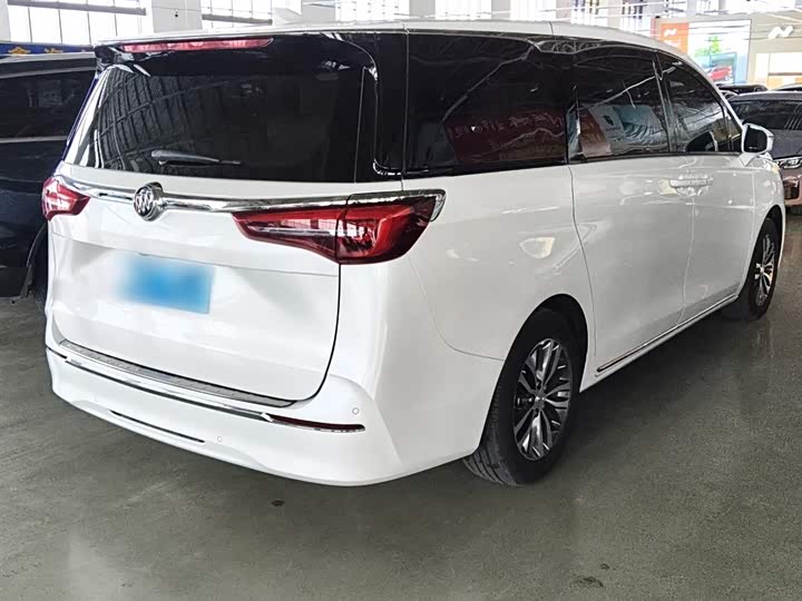 Фото 7 - Buick GL8 ES