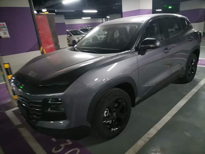 Фото 1 - Jetour Dashing