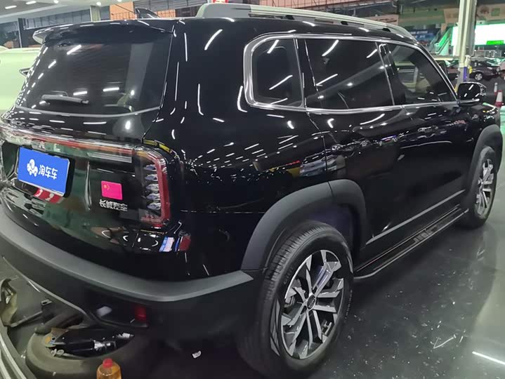 Фото 3 - Haval Dargo