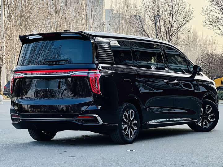 Фото 9 - Hongqi HQ9