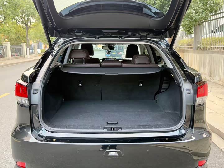 Фото 9 - Lexus RX