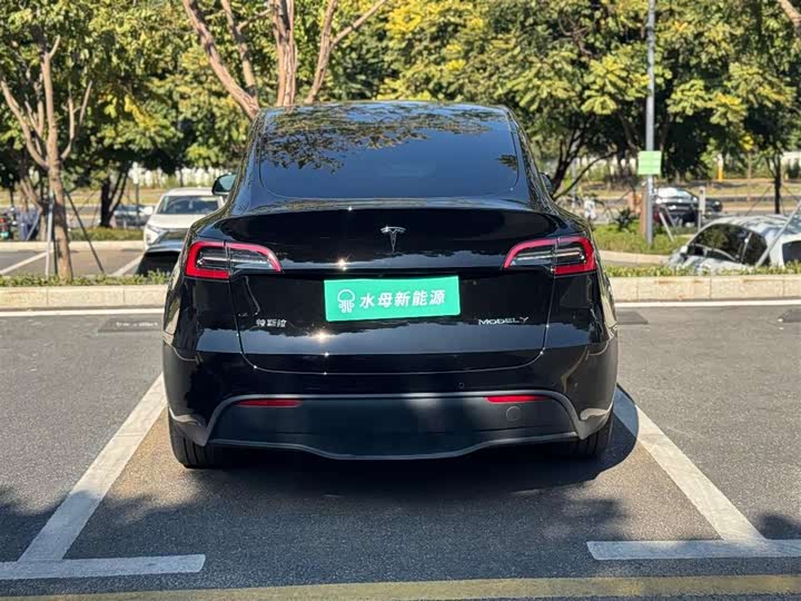 Фото 5 - Tesla Model Y