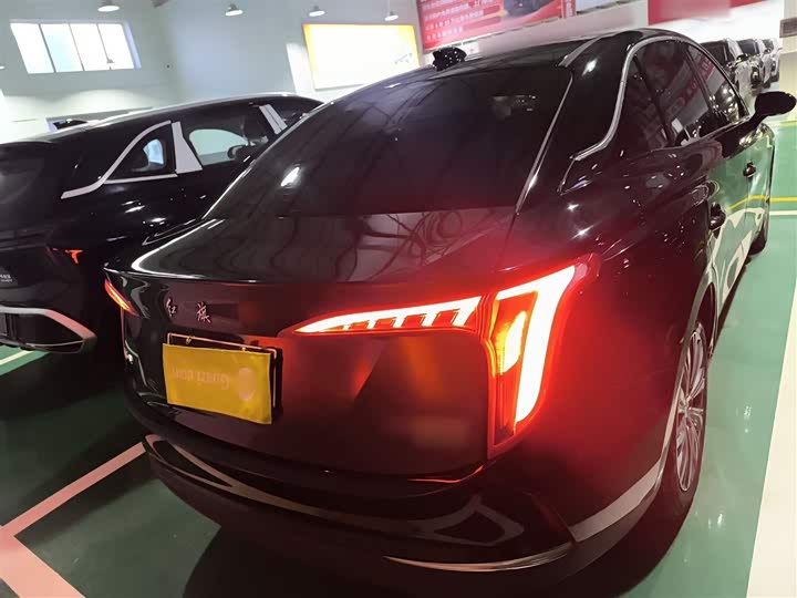 Фото 6 - Hongqi E-QM5