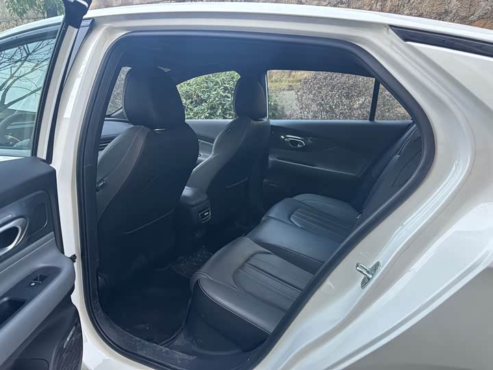 Фото 4 - GAC Trumpchi Empow R