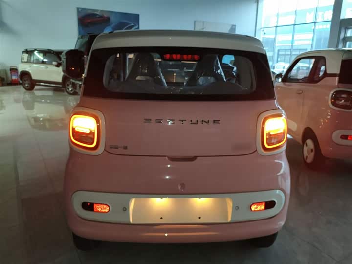 Фото 6 - Bestune Pony