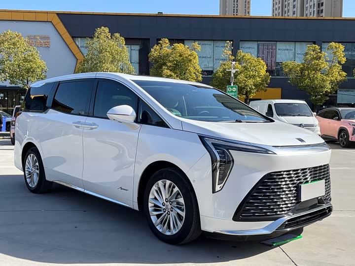 Фото 3 - Buick GL8 Century