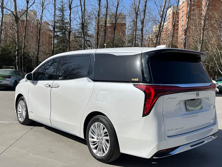 Фото 7 - Buick GL8 Century