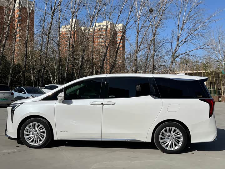 Фото 8 - Buick GL8 Century