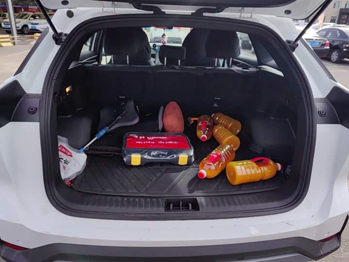 Фото 4 - Geely Galaxy L7