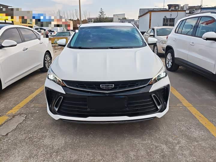 Фото 3 - Geely Binrui