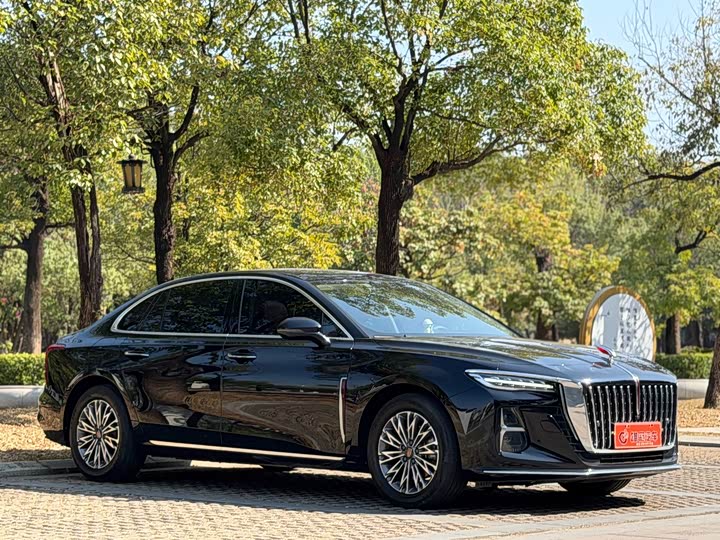 Фото 3 - Hongqi H5