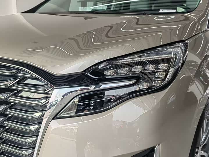 Фото 4 - Buick GL8 ES