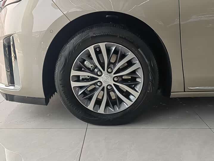 Фото 5 - Buick GL8 ES