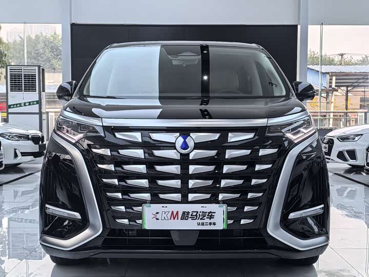 Фото 2 - Denza D9