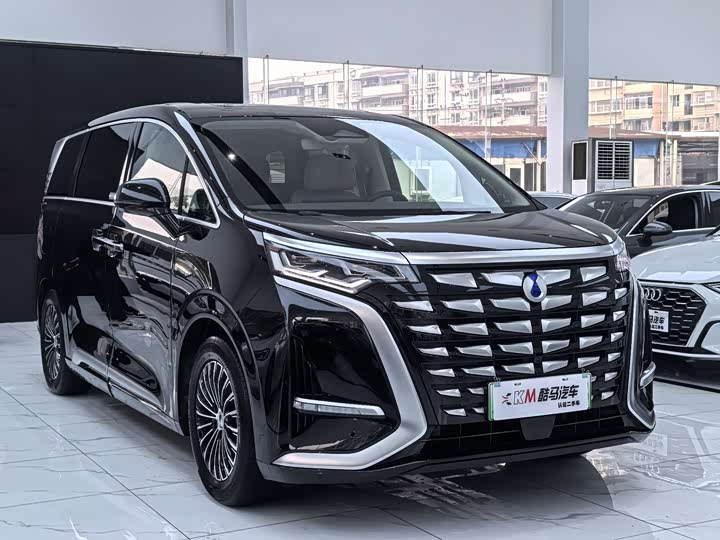 Фото 3 - Denza D9