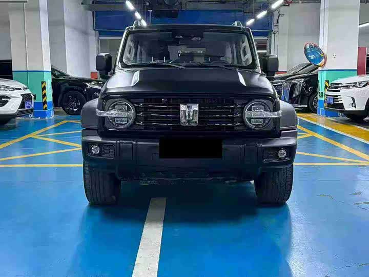 Фото 2 - Tank 300