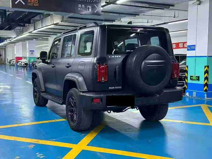 Фото 7 - Tank 300