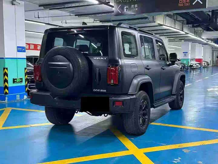 Фото 9 - Tank 300