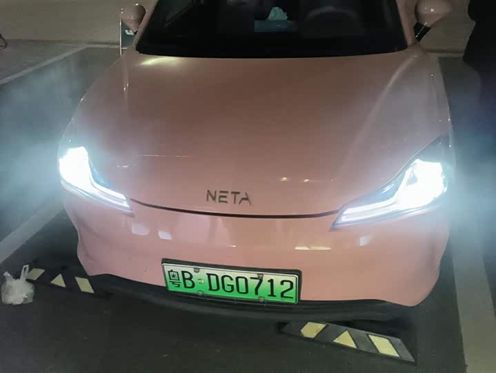 Фото 2 - Hozon V