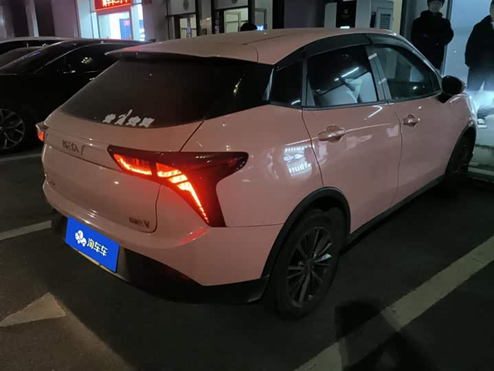 Фото 3 - Hozon V