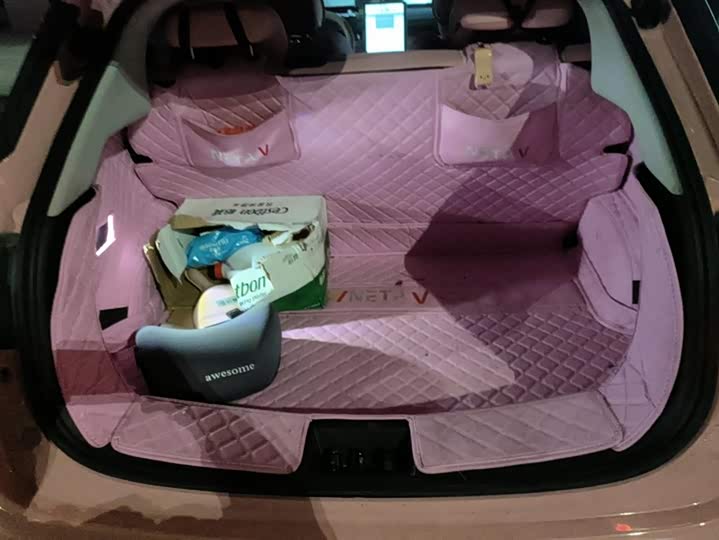 Фото 4 - Hozon V