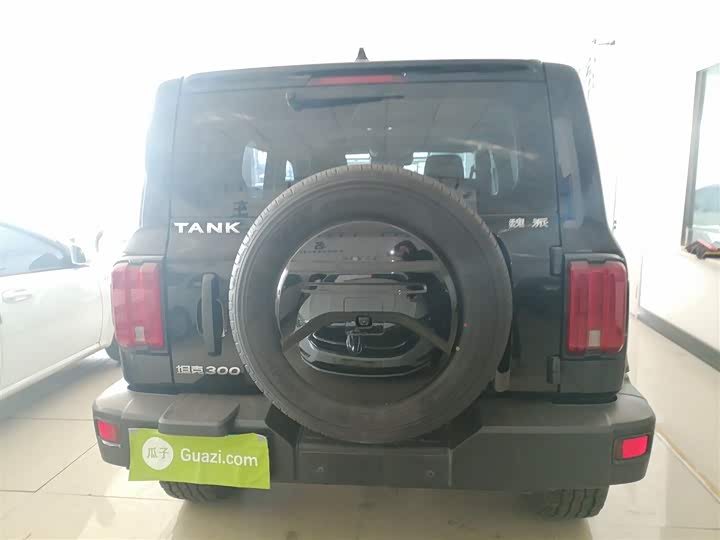 Фото 6 - Tank 300