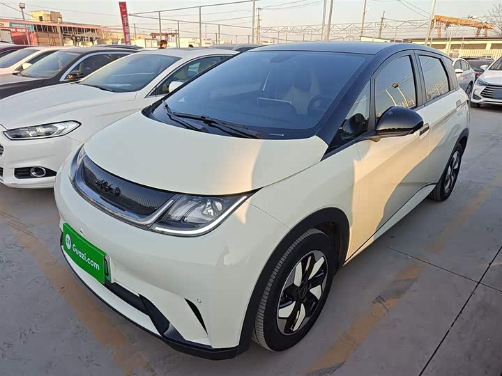 Фото 2 - BYD Dolphin