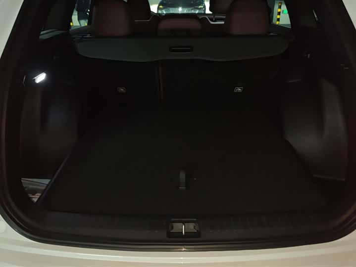 Фото 4 - Geely Monjaro