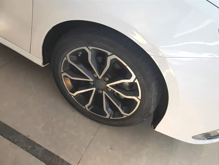 Фото 6 - Geely Binrui