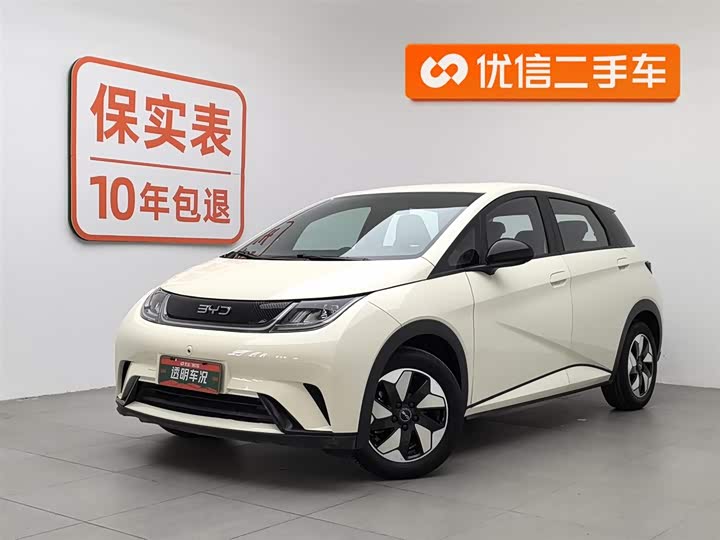 Фото 1 - BYD Dolphin