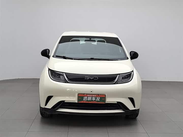 Фото 3 - BYD Dolphin