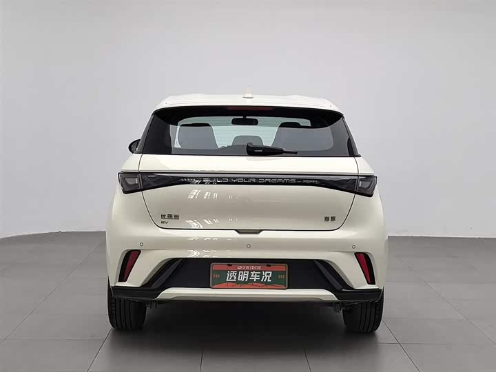 Фото 4 - BYD Dolphin