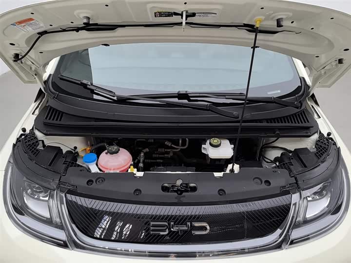 Фото 6 - BYD Dolphin