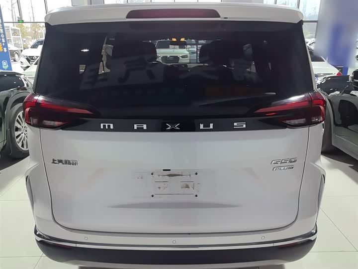 Фото 6 - Maxus G50