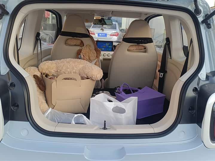 Фото 4 - Bestune Pony