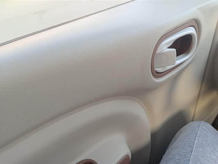 Фото 7 - Bestune Pony