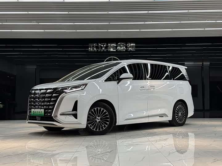 Фото 1 - Denza D9