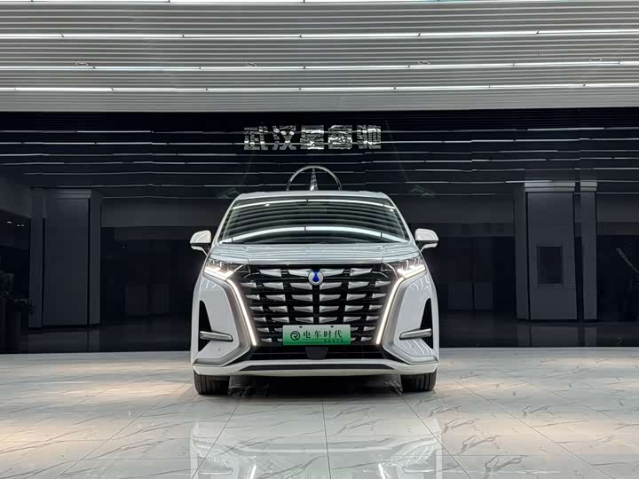 Фото 2 - Denza D9