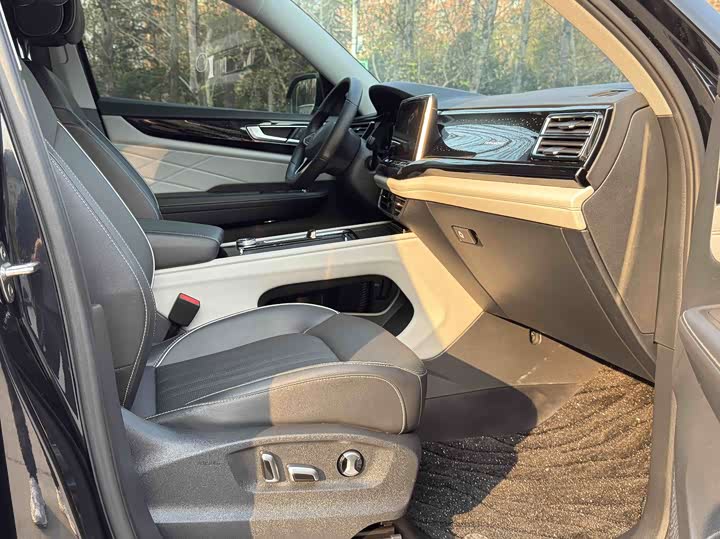 Фото 9 - Volkswagen Teramont Pro